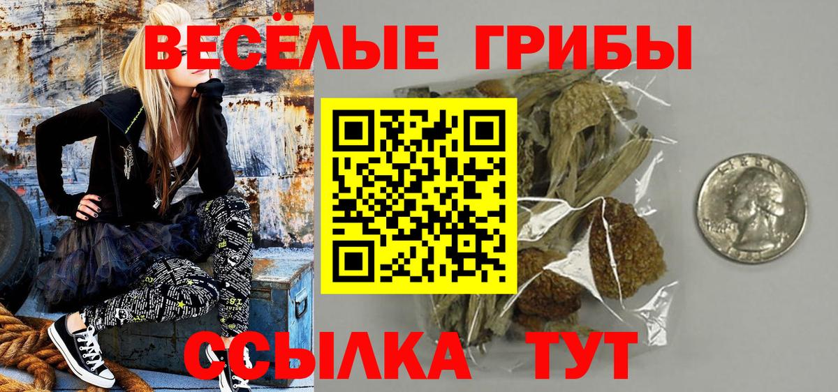 Псилоцибиновые грибы MAGIC MUSHROOMS  Галлюциногенные грибы мицелий  Вход с VPN  Ржев 
